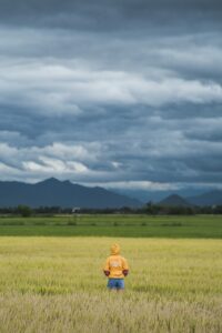 鹿児島での寺社めぐりに最適な宿はどこがおすすめ？