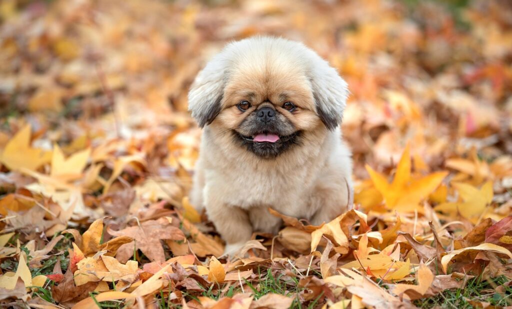 福岡で寺社めぐりに便利な宿はどこですか？