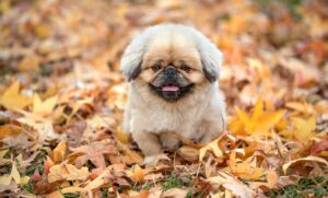 福岡で寺社めぐりに便利な宿はどこですか？