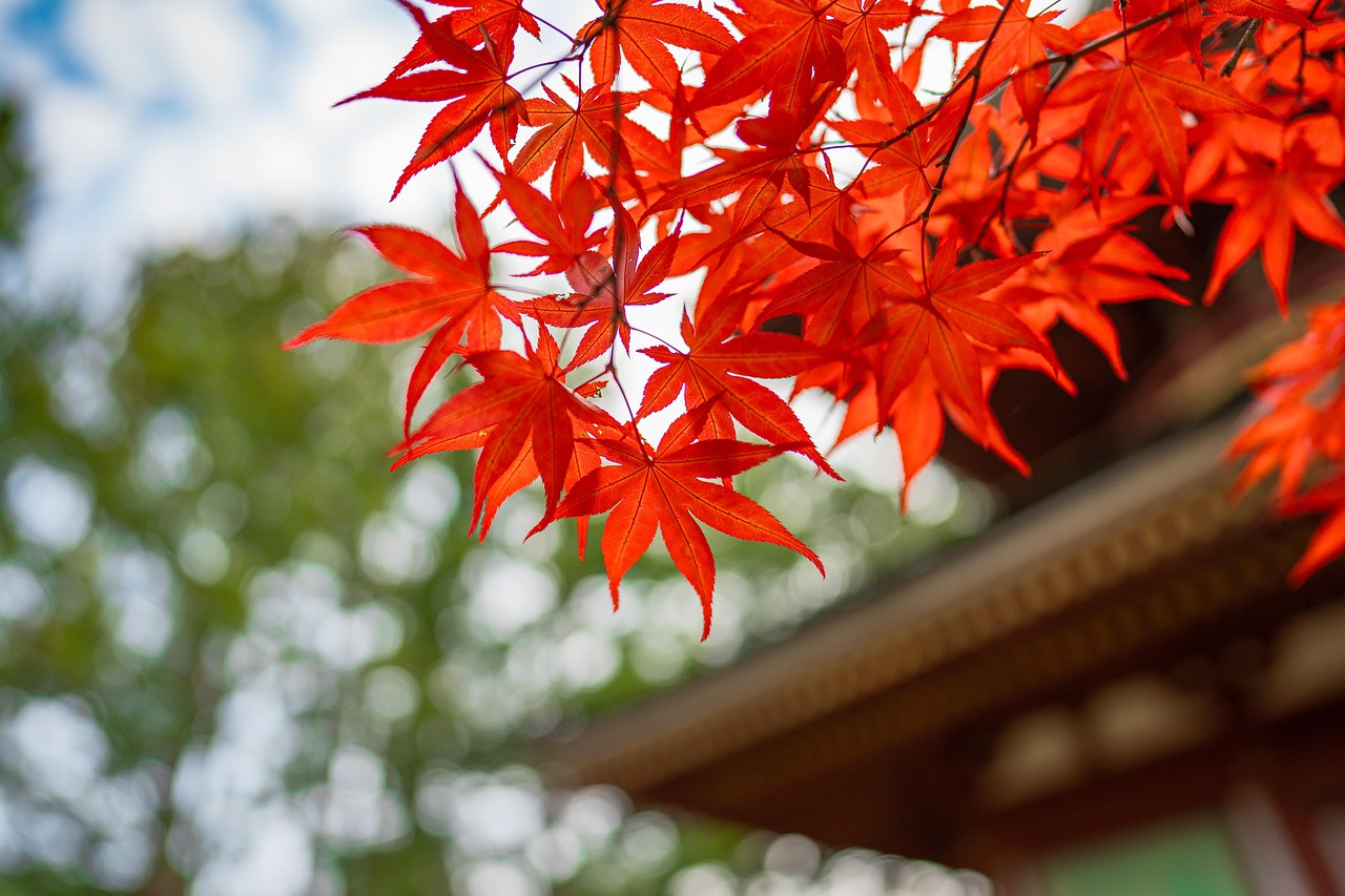 九州のお寺巡りにおすすめのルートは？