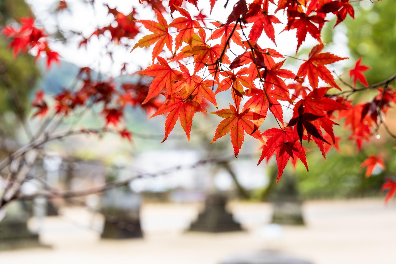 九州のカップルにおすすめの旅行神社は？