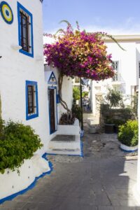 九州の古民家に宿泊する際の魅力とおすすめポイントは？