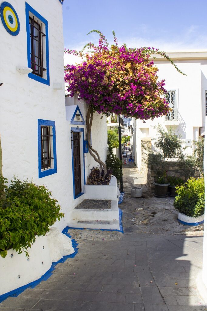 九州の古民家に宿泊する際の魅力とおすすめポイントは？