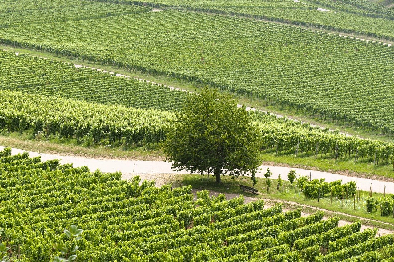 九州の絶景を楽しめる宿はどこですか？