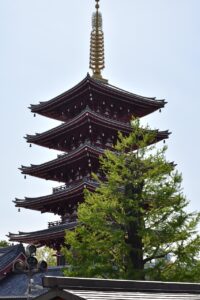 有名な神社がある九州のおすすめスポットは？