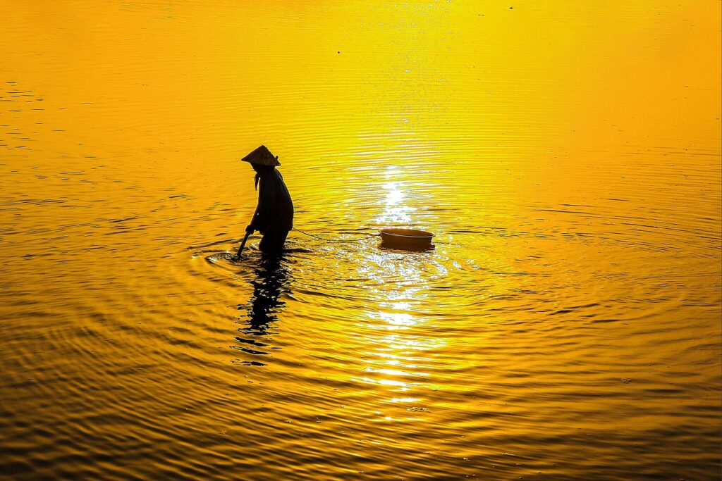大分のゲストハウスで楽しめる夕食メニューは？