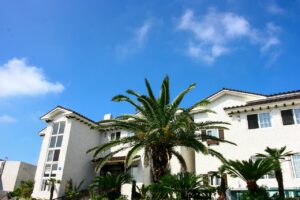 宮崎のモダンなペンションで過ごす魅力的な休日とは？