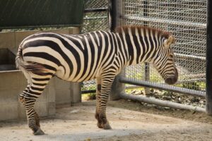 福岡で格安のゲストハウスを探すポイントは？