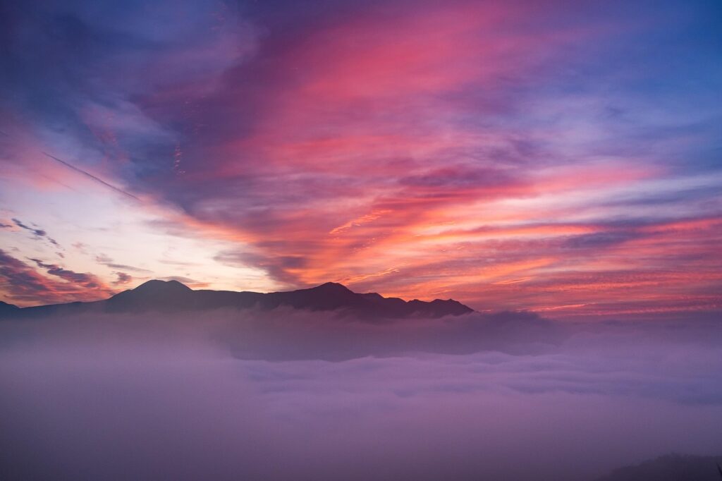熊本の水前寺公園観光で楽しむべきポイントは？